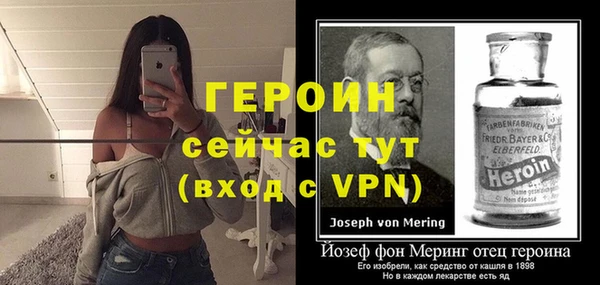 гидра Арсеньев