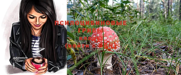 MESCALINE Новозыбков